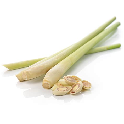 Thai lemongrass - The new age of The authentic Thai Cuisine in Dallas, Lemongrass Thai Eatery proud to offer new variety choices of Thai food. We are preparing to be The Best Thai restaurant in DFW.